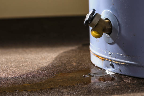 Best Water damage cleanup near me  in Denton, MD