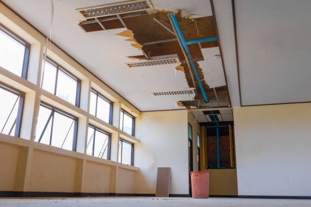 Best Water damage restoration services  in Denton, MD