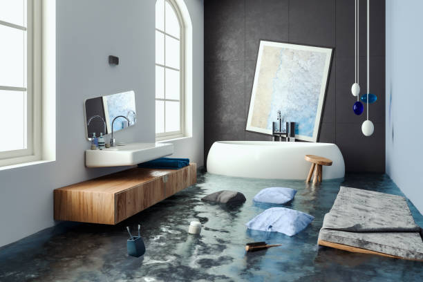Best Flood damage cleanup  in Denton, MD