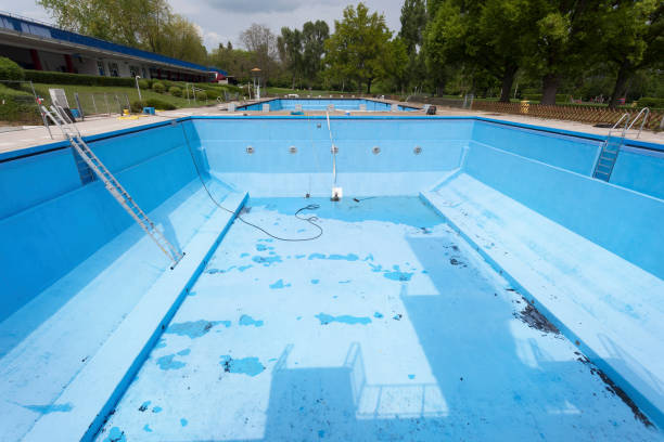 Best Flood damage cleanup  in Denton, MD