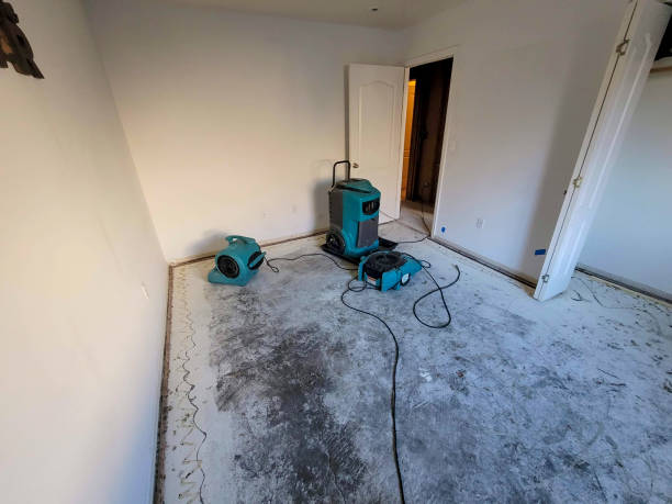 Best 24-hour water damage restoration  in Denton, MD