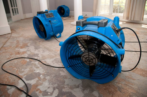 Best 24/7 water damage repair  in Denton, MD