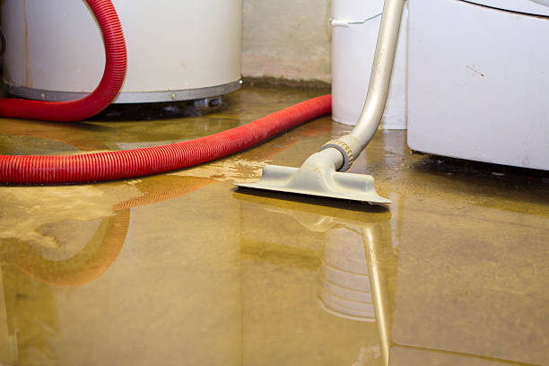 Best Basement water damage restoration  in Denton, MD