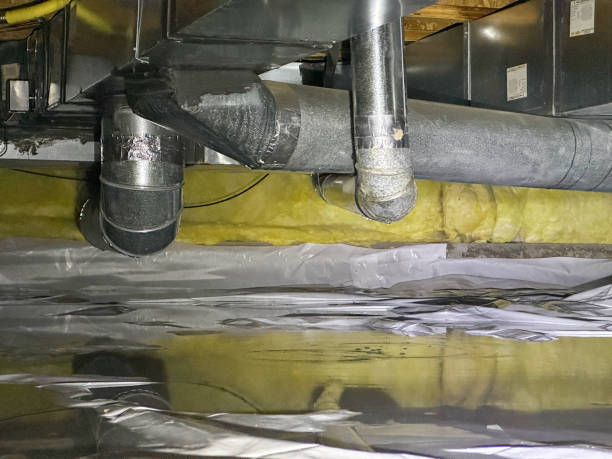 Best Water damage restoration company  in Denton, MD