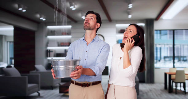 Best 24/7 water damage repair  in Denton, MD