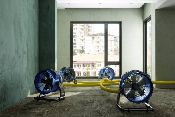 Best Ceiling water damage repair  in Denton, MD